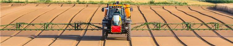 Vogelsterben in Rheinland-Pfalz: Insektensterben bleibt nicht ohne Folgen Foto: fotolia.com © Martin Schlecht