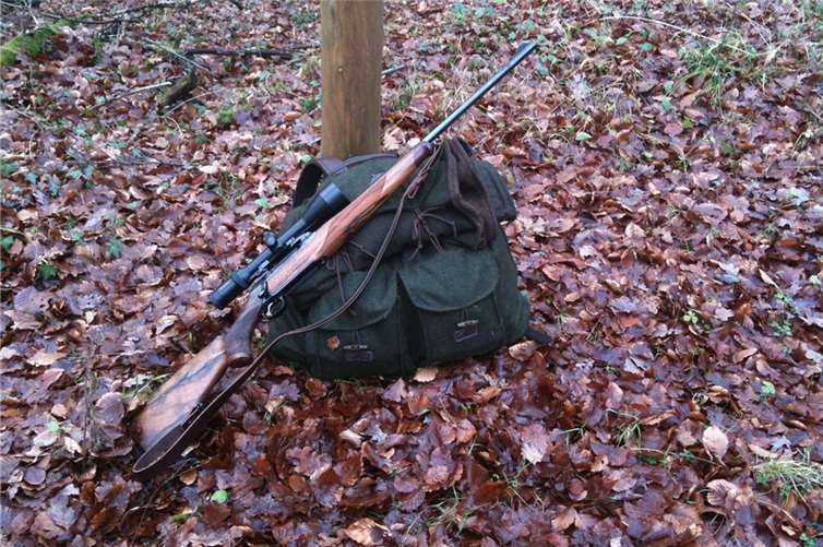 Foto: pixabay / DocHU