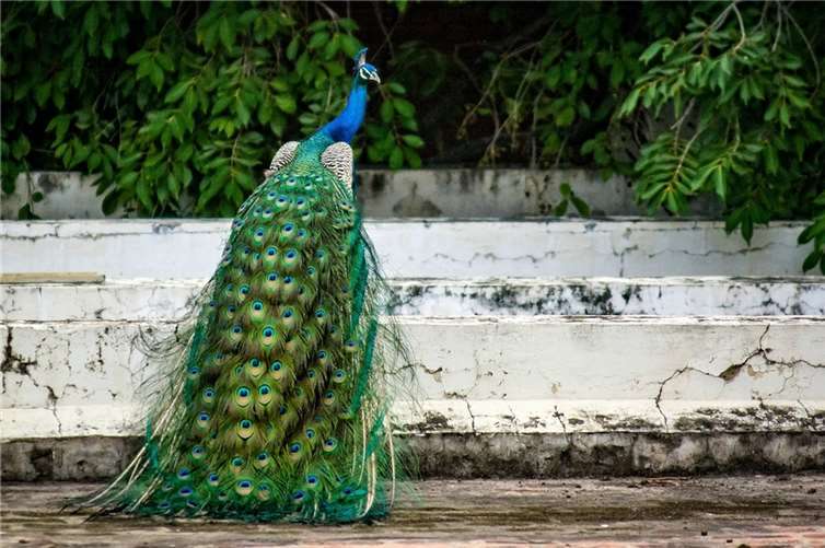 Foto: pixaby/Symbolbild