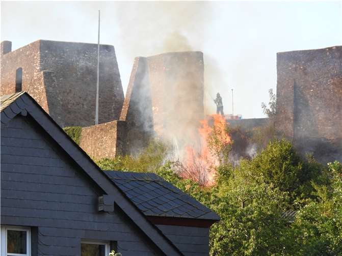 Ulmen: Flächenbrand unterhalb der Burgruine Foto: privat