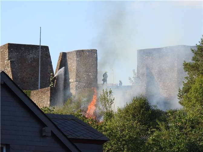 Ulmen: Flächenbrand unterhalb der Burgruine Foto: privat