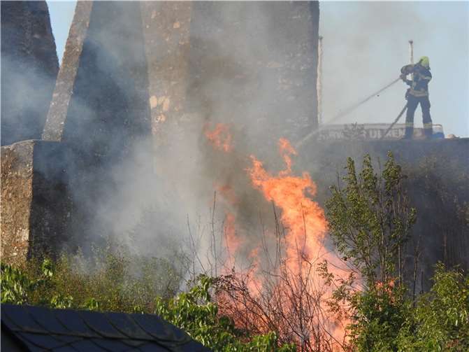 Ulmen: Flächenbrand unterhalb der Burgruine Foto: privat