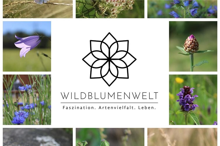 Fotocollage Wildblumenwelt