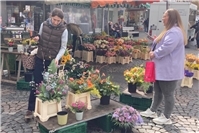 Hasenhoppeln & Heimatshoppen in Mayen: Frühlingsfest mit Rabatten und Unterhaltung