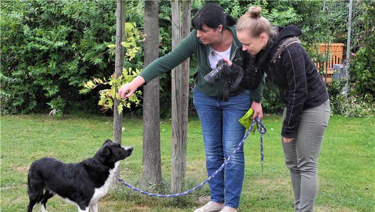 Fotografin Jasmin Nolden wies die Tiere in die „Kunst des Modeln“ ein. Foto:privat
