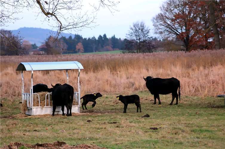 Fotos: Dietmar Groß