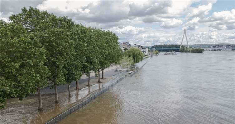 Fotos: Feuerwehr Neuwied