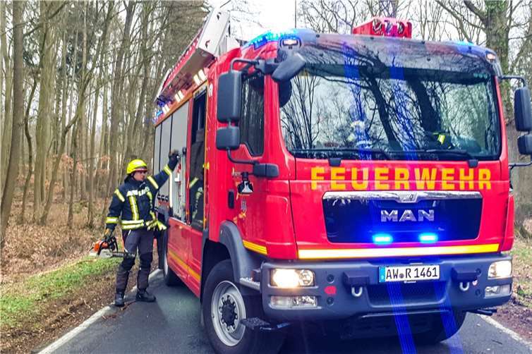 Baumaterial auf Fachhochschule gesichert Fotos: Feuerwehr Remagen