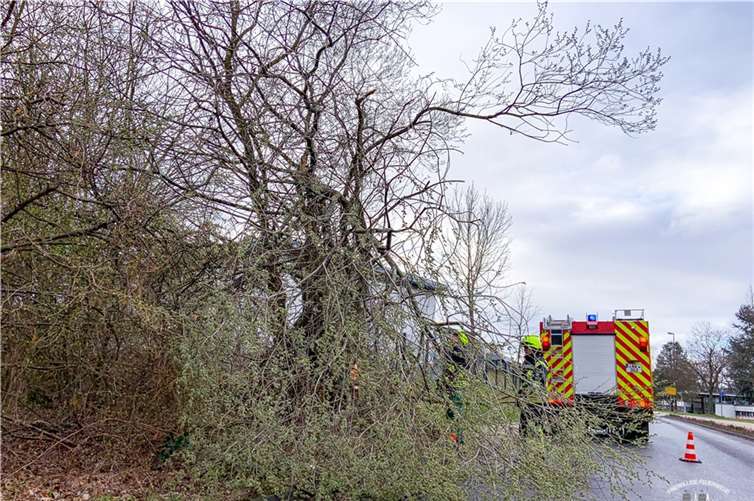 Baumaterial auf Fachhochschule gesichert Fotos: Feuerwehr Remagen