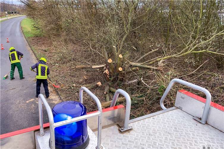 Baumaterial auf Fachhochschule gesichert Fotos: Feuerwehr Remagen
