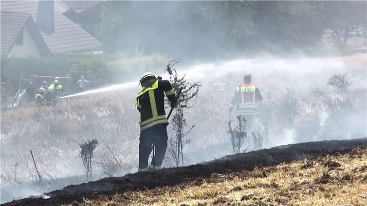 Abgeerntetes Feld in Flammen Fotos: WinklerTV