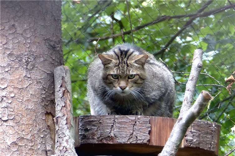 Fotos: Zooschule Neuwied