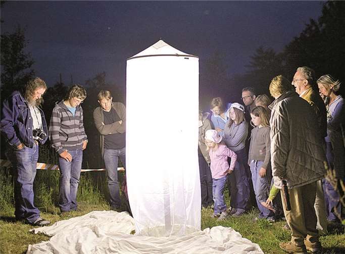 Frank Homann bei der Falternacht 2009. privat