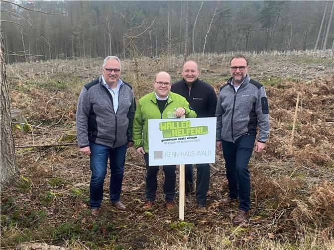 Frank Krämer (Vorstand der Kern-Haus AG), Björn Flick (Erster Vorsitzender Verein „Wäller helfen“), Rainer Mannebach (Technischer Leiter der Kern-Haus AG) und Willi Arenz (Leiter Einkauf der Kern-Haus AG) (v. l.) am „Wäller helfen - Kern-Haus-Wald“ in Kammerforst.  Foto: privat