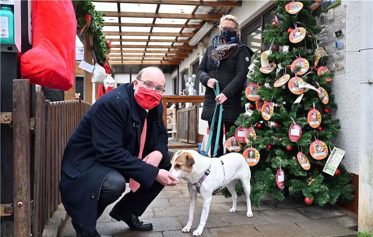 Frank Kremer und Irene Krah. Foto: Hans-Jürgen Vollrath