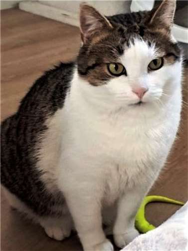 Freddy. Foto: privat