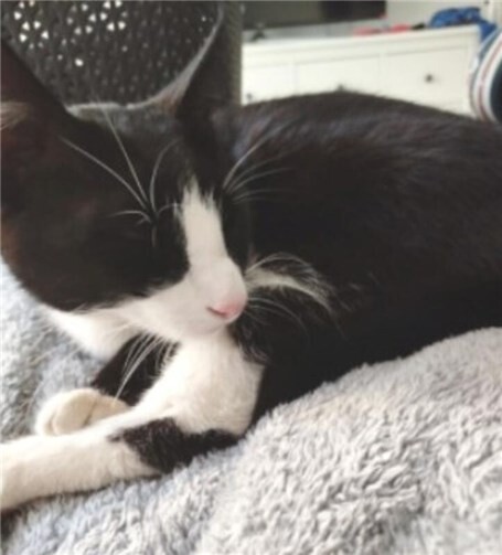 Freddy ist neugierig und besonders zutraulich.