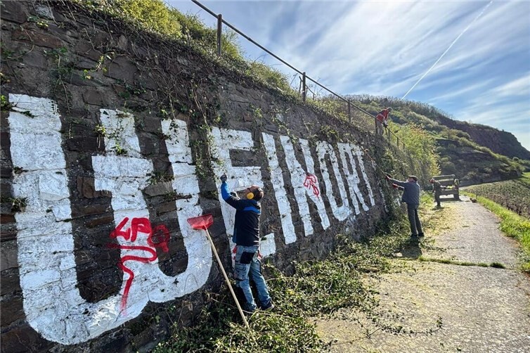 Freischneidearbeiten