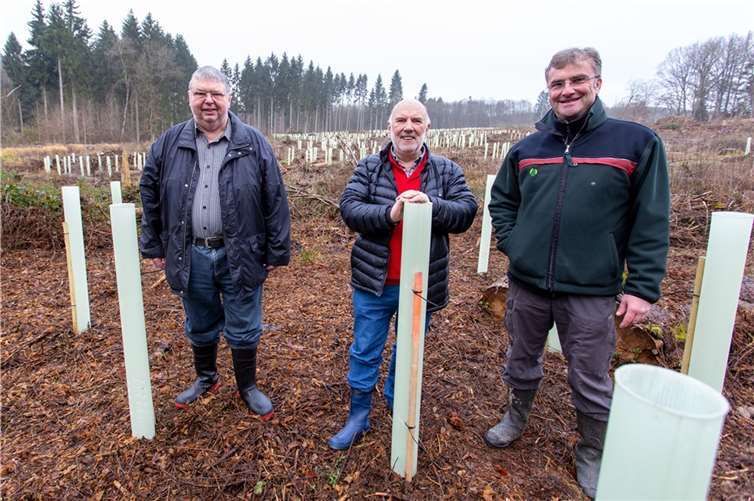 Freuen sich über die Pflanzungsaktion am Krümmelbach in Selters: von links 1. Beigeordneter Hanno Steindorf, Ideengeber Günther Geyer und Revierförster Helmut Nett.Fotos: Stadt Selters