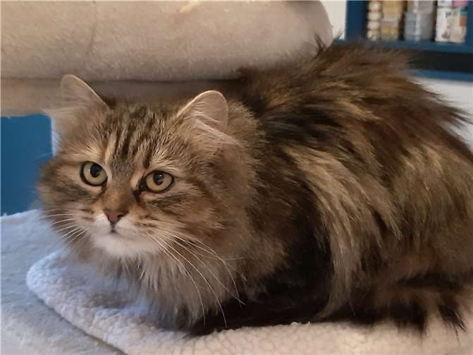 Freya.  Foto: privat