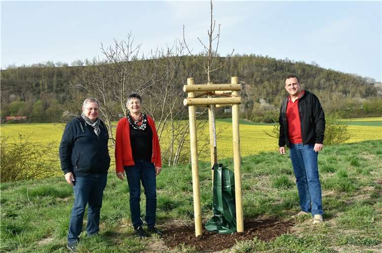 Friedhelm Uenzen, Geno Bleser und Peter Wilkes (von links) freuten sich über die Bäume und dankten dem Team vom Bauhof Plaidt für seinen Einsatz. Bei der Auswahl der Obstbäume hat man bewusst auf „alte Sorten“ gesetzt, die auch die zunehmenden trockenen Sommer gut verkraften. Zur Erhaltung und Steigerung der Biodiversität soll der Krautwuchs unter den Bäumen erhalten bleiben und auf ein beständiges Mähen der Fläche weitestgehend verzichtet werden. Foto: VG Pellenz