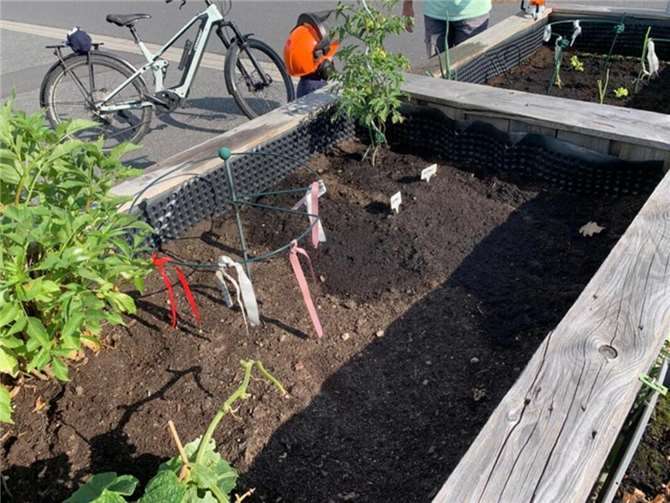 Frische Kräuter und knackiges Gemüse warten in den Hochbeeten auf die Ernte.  Foto: privat