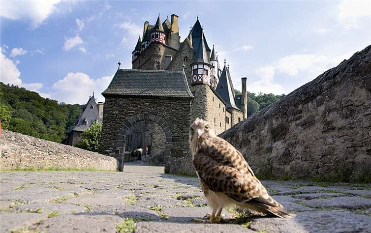 Frosch- oder Vogelperspektive ist hier die Frage. Keine Frage ist: Die Burg Eltz ist aus jeder Perspektive prachtvoll wie keine andere mittelalterliche Burg.privat