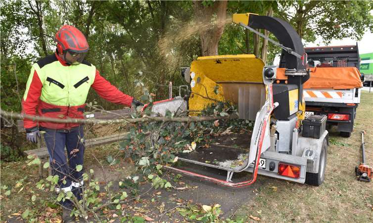 Früher als üblich haben die SBN mit der Baumpflege begonnen. Altbestände werden von Totholz und Ästen befreit, die durch die Hitze vertrocknet oder beschädigt sind. So werden die Bestände nicht nur gesäubert: Es wird auch Platz gemacht, damit gesundes Grün sich besser ausbreiten kann. Privat