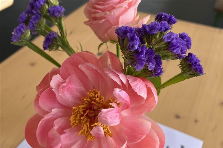 Frühlingsblumen vom Blumenhaus Schopp