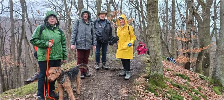 Fünf Unentwegte des Eifelvereins Bad Breisig machten sich auf nach Kell. Foto: privat