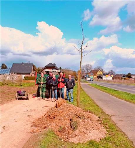 Fünf neue Bäume wurden an der L113 zwischen Ramershoven und Rheinbach gepflanzt. Foto: privat
