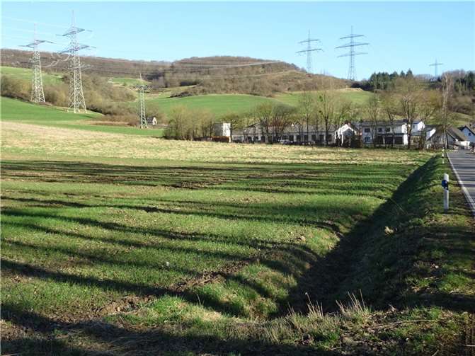 Für den Bereich des geplanten Baugebietes „In der Aue“ wurden die Kosten für den Grunderwerb im Haushaltsplan eingestellt. Foto: WER