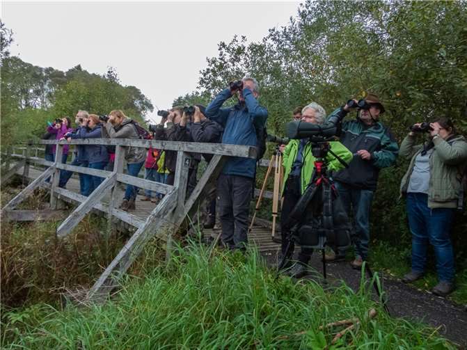 Für die 28 Vogelfreunde gab es viel zu entdecken. Foto: Marcel Weidenfeller