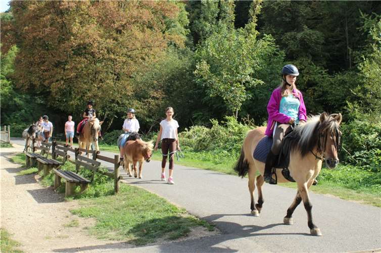 Für die Arbeit mit den Ponys gibt es verschiedene Gruppen.  Foto: privat