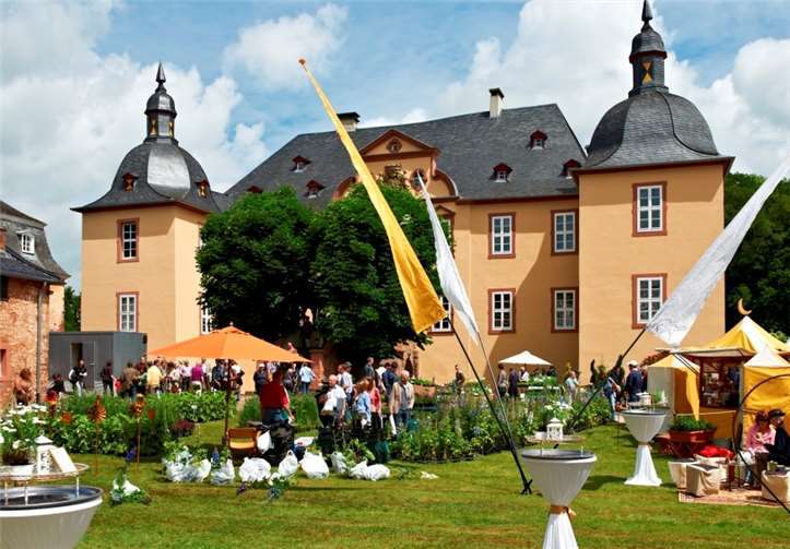 Für die Ausstellung wird der imposante Schloss mitamt Park und Remisen der Öffentlichkeit zugänglich gemacht. privat