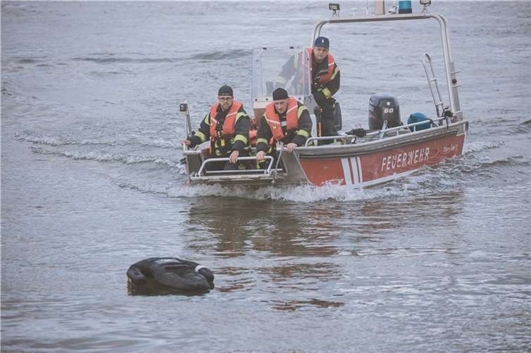 Für die Einsatzkräfte galt es, schnellstmöglich eine über Bord gegangene Person aus dem Rhein zu retten. Fotos: Feuerwehr Remagen