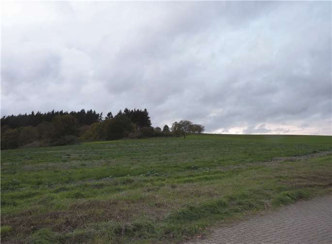 Für die Erschließung eines Neubaugebietes mit 27 Grundstücken für Ein- und Zweifamilienhäuser in der Verlängerung des Eichenwegs in Obermendig sind im Haushalt 975. 000 Euro veranschlagt.Foto: FRE