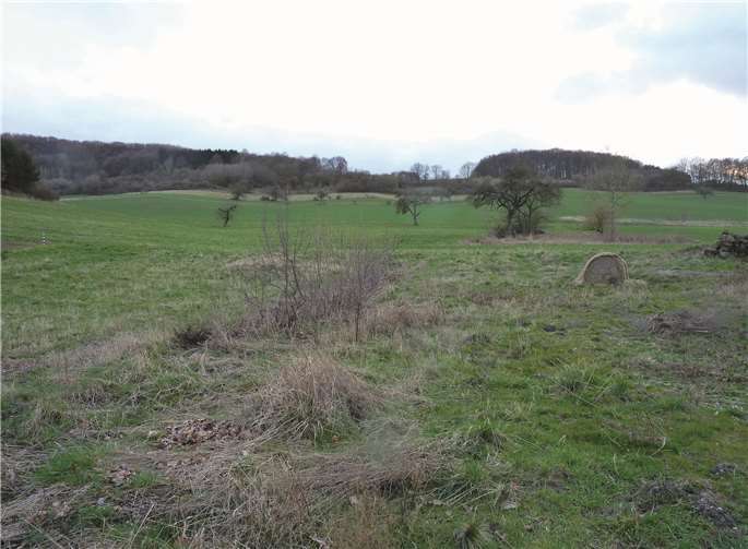 Für die Erschließung eines oberhalb der Vulkanstraße geplanten Neubaugebietes wurden im Riedener Haushalt 225.000 Euro eingeplant. Foto: FRE