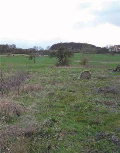 Für die Erschließung eines oberhalb der Vulkanstraße geplanten Neubaugebietes wurden im Riedener Haushalt 225.000 Euro eingeplant. Foto: FRE