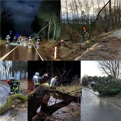 Für die Freiwillige Feuerwehr Krümmel-Sessenhausen gab es einiges zu tun. Quelle: FFw Krümmel-Sessenhausen