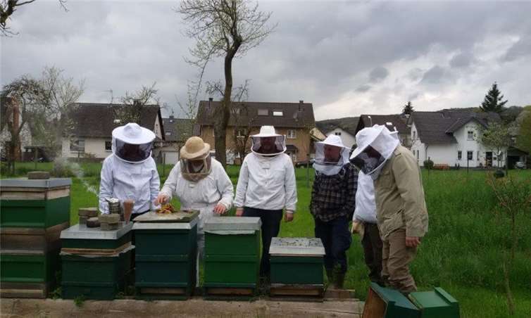 Für die Imker beginnt nun die arbeitsreiche Zeit. privat