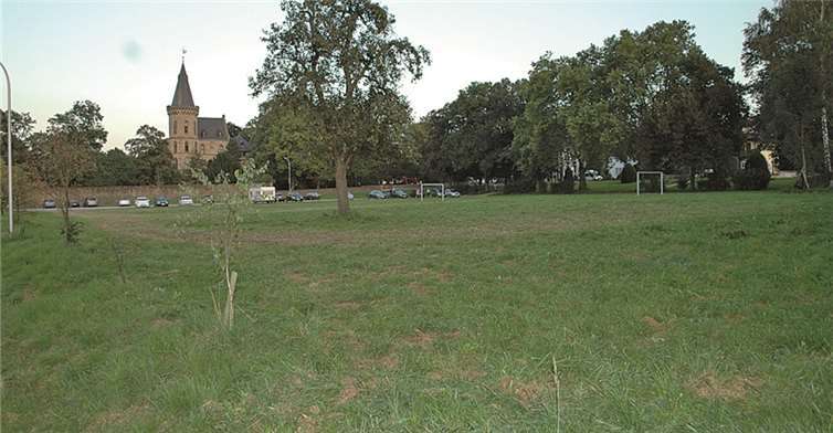 Für die Jahnwiese sind neue Angebote im Sinziger Rathaus eingegangen. BL