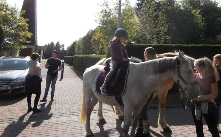 Für die Kinder gab es Ponyreiten.