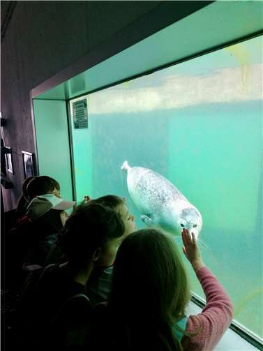 Für die Kinder gab es einiges zu entdecken. Foto: Grundschule Kaltenengers
