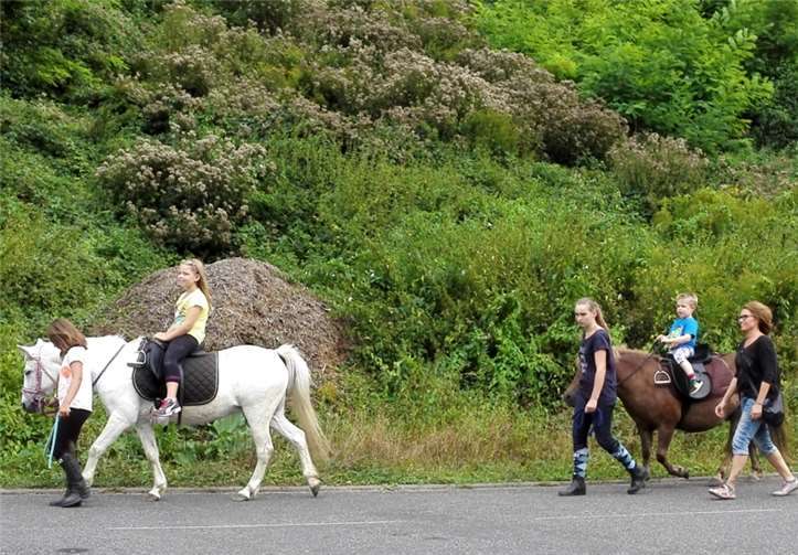 Für die Kleinen wurde auch Ponyreiten angeboten.