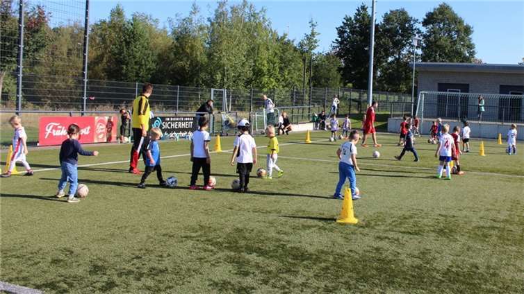Für die Trainer heißt es, den Überblick zu behalten.