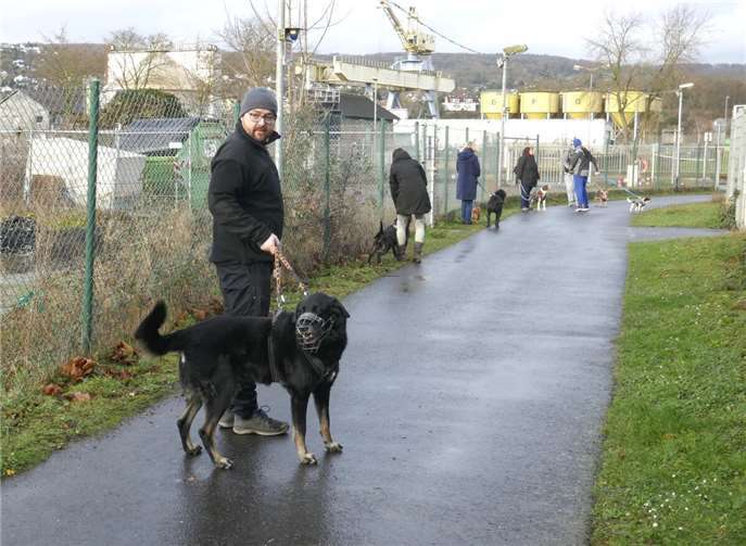 Für die Vierbeiner ist ein Spaziergang eine willkommene Abwechslung im Tierheimleben. Foto: privat