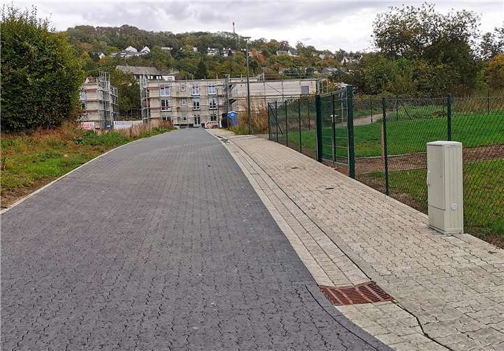 Für die fast fertige Salierstraße wird in Kürze der naturschutzrechtliche Ausgleich ausgeschrieben.