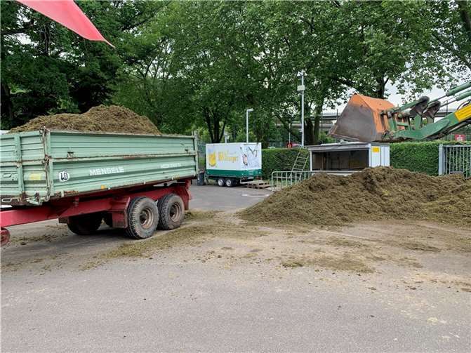 Für die neue Rasentragschicht wurde unter anderem mit Sand gearbeitet.