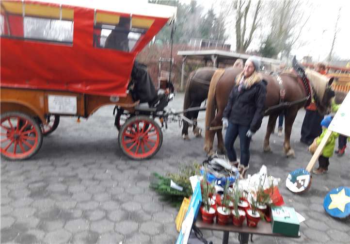 Für eine Planwagenfahrt hat der Ponyhof Ludwig angespannt.